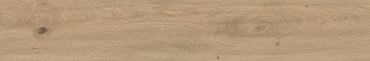 Керамогранит Atlas Concorde Italy Log Moon Oak AX3I 20x120 матовый
