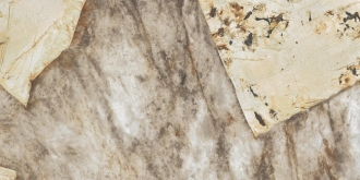 Marvel Gala Desert Soul Polished AJKG