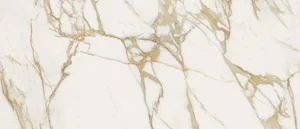 Керамогранит Atlas Concorde Italy HGIJ Marvel Next Calacatta Oro 120x278 матовый