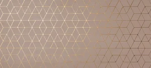 Декоративный элемент Atlas Concorde Italy Mek Rose Hexagon 4MHO 50x100 матовый
