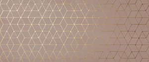 Декоративный элемент Atlas Concorde Italy Mek Rose Hexagon A4T9 50x120 матовый