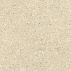 Керамогранит Atlas Concorde Italy HGF2 Nyra Utopia Acacia 60x60 матовый Sensitech