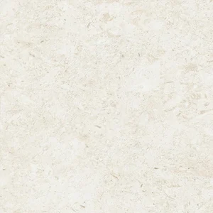 Керамогранит Atlas Concorde Italy HGFZ Nyra Utopia Reef 60x60 матовый Sensitech