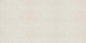 Керамогранит Atlas Concorde Italy Room White D124 30x60 матовый
