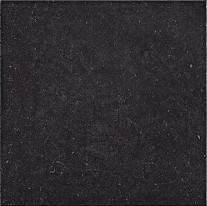 Керамогранит Atlas Concorde Italy Seastone Black 60 8S21 60x60 матовый