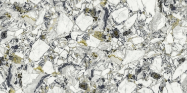Керамогранит Atlas Concorde Russia Forte Dei Marmi Quark Ceppo Apuano Forest Rett 610010002960 80x160 матовый