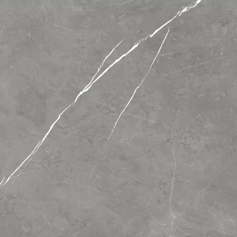Керамогранит Atlas Concorde Russia Forte Dei Marmi Elegant Grey Lastra 610010002724 60x60 матовый Керамогранит Atlas Concorde Russia Forte Dei Marmi Elegant Grey Lastra 610010002724 60x60 матовый