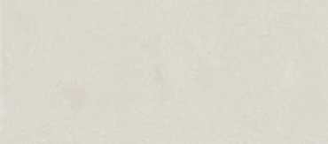 Керамогранит Atlas Concorde Russia Rinascente Resin White 600180000055 120x278 матовый