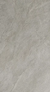 Керамогранит Atlas Concorde Russia Rinascente Slate / Ринашенте Слейт 600180000135 Silver Matt 120x278 матовый