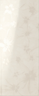 Atmosphere Lait Dame Brillant DATD20B