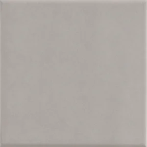 Плитка Ava UP Grey Matte 192003 10x10 матовая