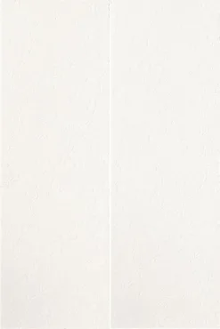 Панно Ava Axel Paradisea Bianco Satinato 64,2x96,3 сатинированное