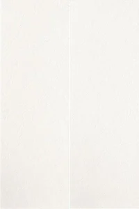 Панно Ava Axel Paradisea Bianco Satinato 64,2x96,3 сатинированное