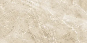 Керамогранит Axima Delhi 60x120 матовый