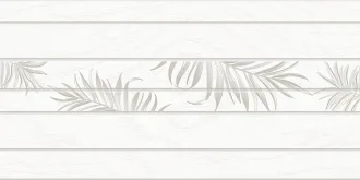 Equadore Fern 2