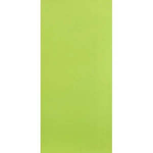 Плитка Azori Палитра 00-00001911 Зеленый 20,1x50,5 матовая