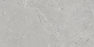 Керамогранит Azuvi Neeko Grey 60x120 матовый