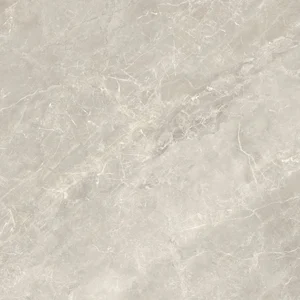 Керамогранит Baldocer Balmoral Taupe Pulido 60x60 лаппатированный
