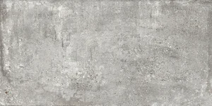 Керамогранит Baldocer Detroit Ash 60x120 матовый