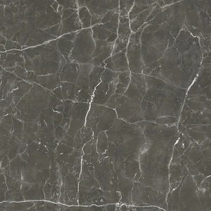 Керамогранит Baldocer Fox Graphite Natural 120x120 натуральный