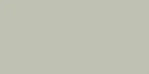 Керамогранит Baldocer Montmartre Menthe Rect. 60x120 матовый