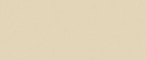Керамогранит Levantina Basic Cappucino 50x50 матовый