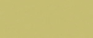 Керамогранит Levantina Basic Green (Толщина 3.5мм) 50x50 матовый