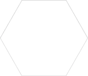 Керамогранит Codicer Basic Hex 25 White 22x25 матовый