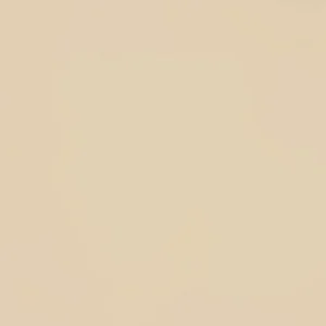 Керамогранит Grasaro Beige G-110 60x60 полированный