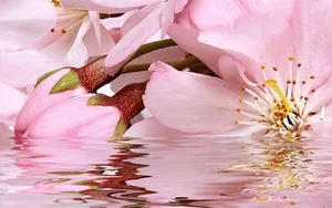 Декоративный элемент Belleza Букет Розовый 07-00-5-09-01-41-664 25x40 глянцевый