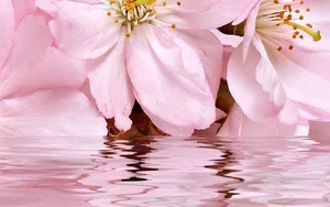 Декоративный элемент Belleza Букет Розовый 07-00-5-09-01-41-665 25x40 глянцевый