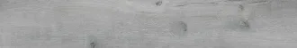 Forest Grey WFE19F42210A