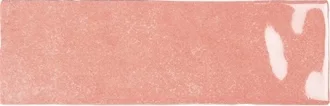 Nolita Rosa