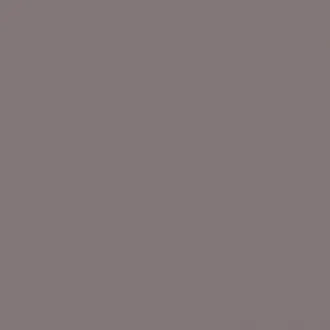 Beta Gris Oscuro