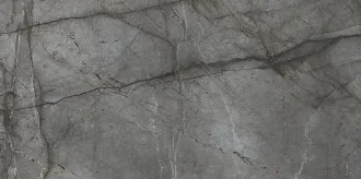 Root Silver Rec Full Lap BIEN0022