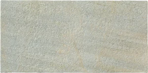 Керамогранит Panaria Bioarch Barge Grigia PG-BK10 30x60,3 матовый