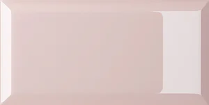 Плитка Vogue Bisello TR Rosa 10x20 глянцевая