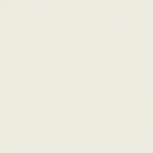 Керамогранит Kerlite Black & White White (Толщина 3.5 мм) 100x100 матовый
