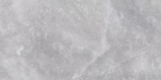 Vitoria Gris Polished