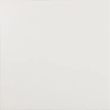 Керамогранит Ceracasa Brazil Orchiee D-Color White 40,2x40,2 матовый