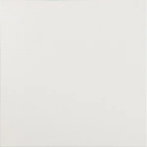 Керамогранит Ceracasa Brazil Orchiee D-Color White 40,2x40,2 матовый