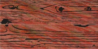 Folli Follie Lacche Legni Rosso 2 pz LALERO