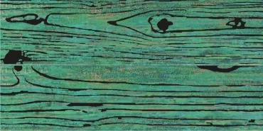 Декоративный элемент Brennero Folli Follie Lacche Legni Verde 2 pz LALEVE 60x60 лаппатированный