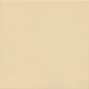 Плитка Vives Brenta 1900 Marfil 20x20 матовая