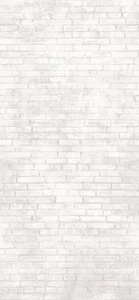 Декоративный элемент Imola BRICKLANE 260 120x260 матовый