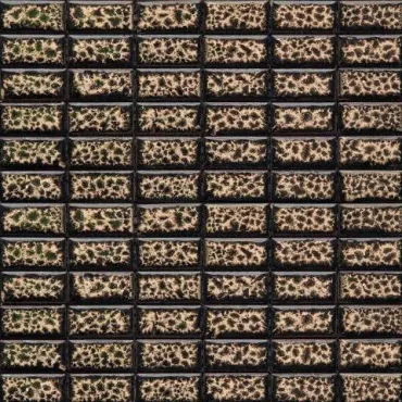 Мозаика Gaudi Brik-5(4) 29,8x29,8 глянцевая