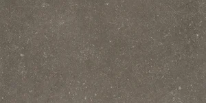 Керамогранит Kerlite Buxy Cendre (Толщина 3.5 мм) 50x100 матовый