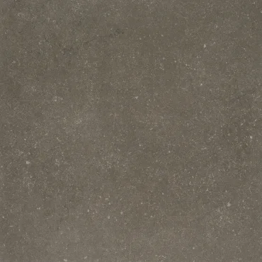 Керамогранит Kerlite Buxy Cendre (Толщина 3.5 мм) 50x50 матовый