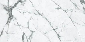Керамогранит Caesar Anima Ever Magnificent White Luc Ret AFBL 60x120 полированный