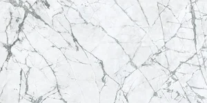 Керамогранит Caesar Anima Ever Magnificent White Silk Ret AFCR 160x320 матовый